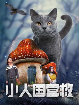 数提升到31家，成为IMAX全球第五大以及中国第三大院线合作伙伴。